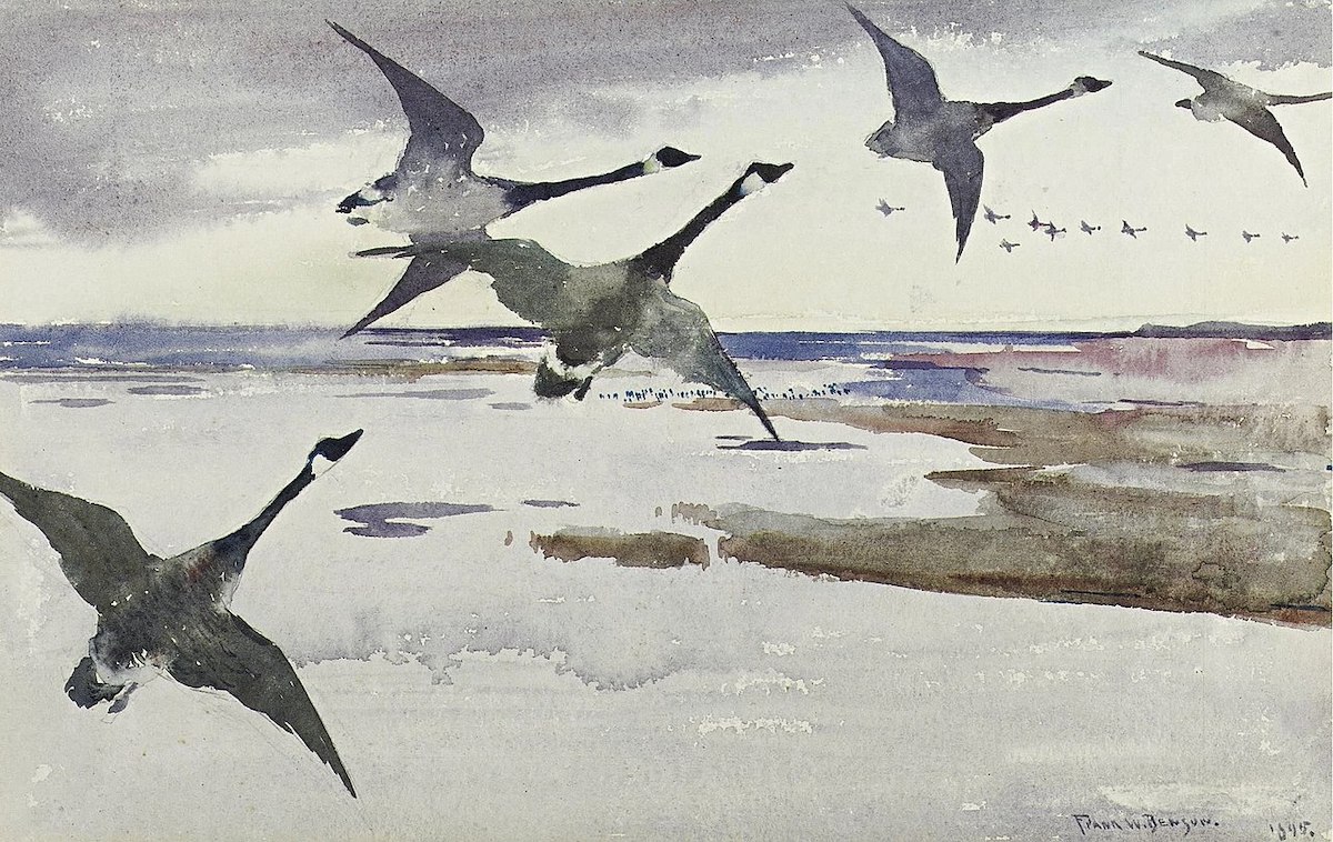 Frank W. Benson, Canadian Geee, watercolor and pencil on paper, 1895