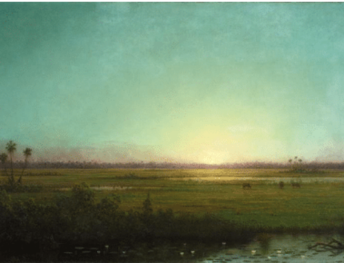 Twilight on the Marsh