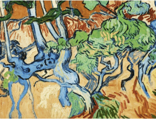 Rooted in Reality but Reaching Beyond