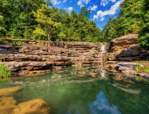 What I Brought Home From the Ozarks