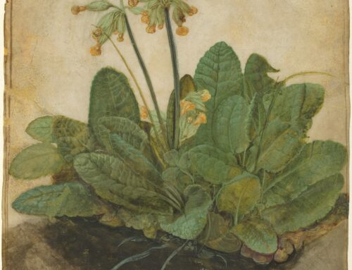 The Hidden History of Gouache