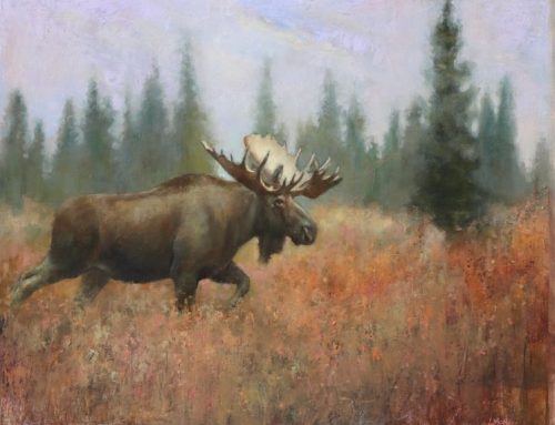 I Locked Eyes With a Wolf. It Changed How I Paint.